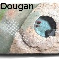 DonDougan